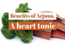 Benefits of Arjuna. A heart tonic arjuna herb