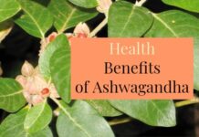 Health Benefits of Ashwagandha ashwagandha